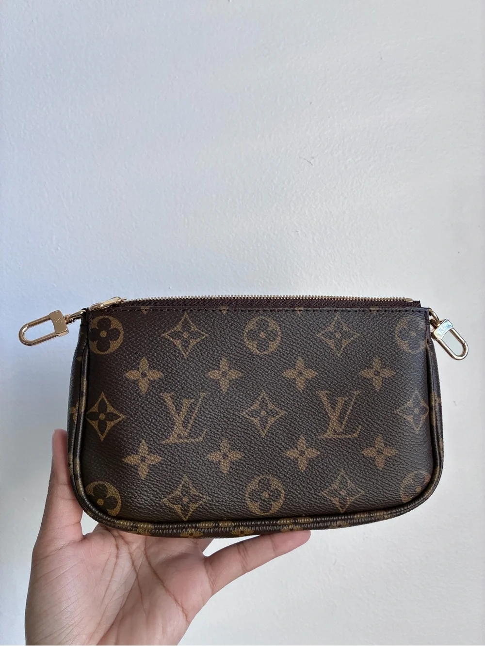 Louis Vuitton Multi Accessories Pouch
